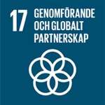 17 Genomförande och globalt partnerskap